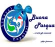 Anteprima - Clicca per ingrandire